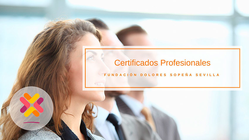 certificats professionnels