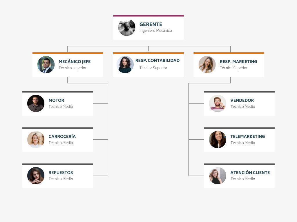 organigrama empresa tecnico superior y medio