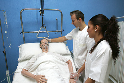 ciclos online sopena